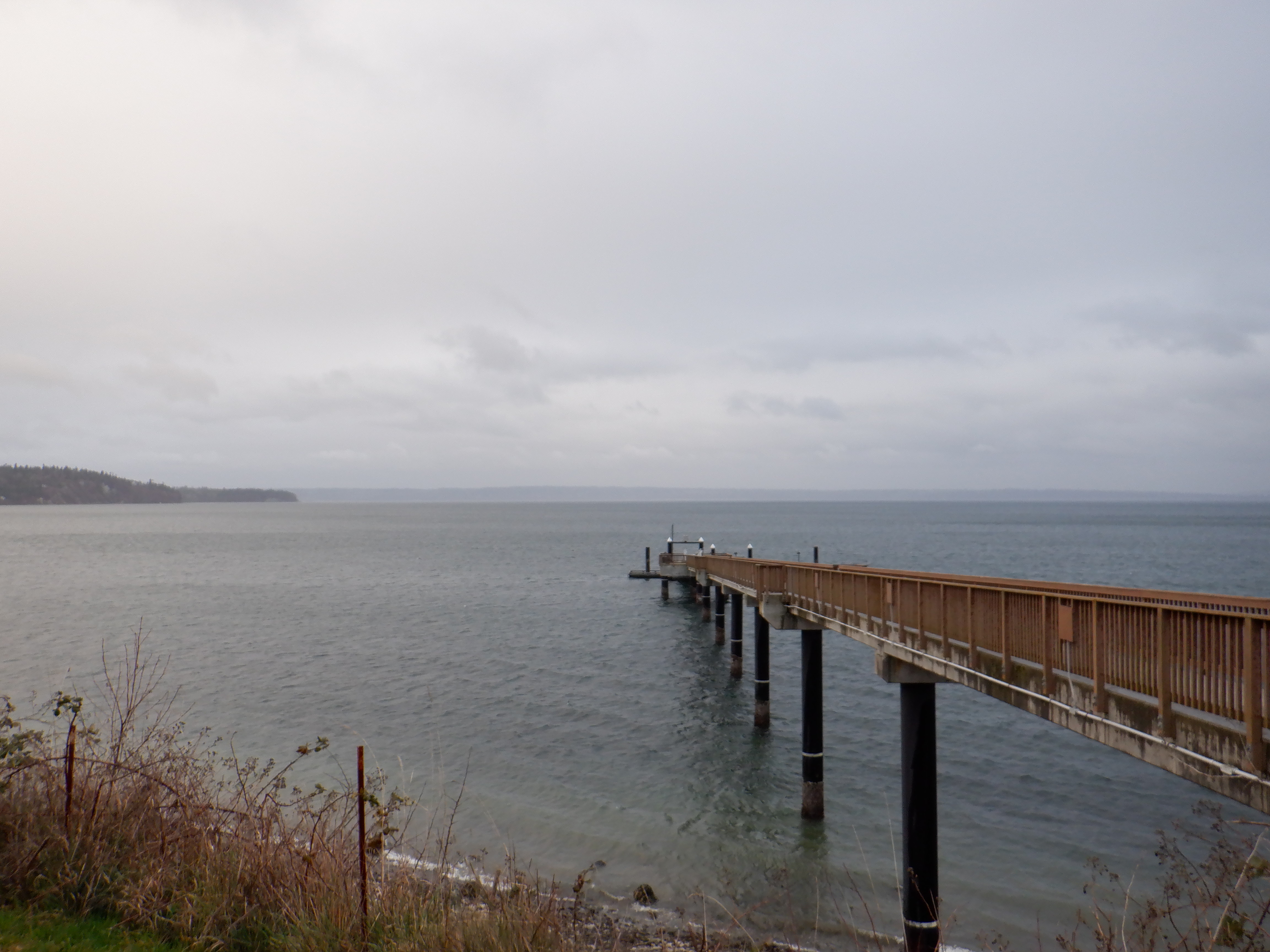 ./2020/03 - Seattle/AD_CF0953.JPG